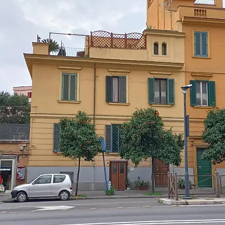 Viacatania16 *
